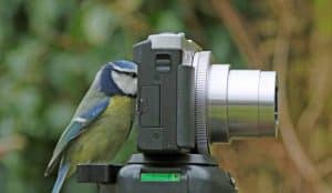 comparatif camera de chasse