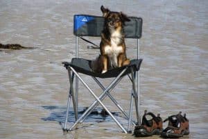 meilleur chaise de camping