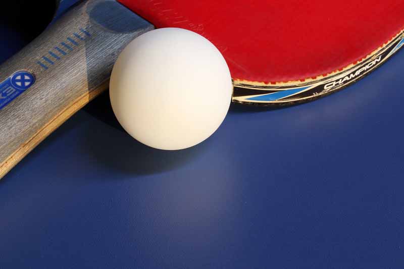 test table de ping pong