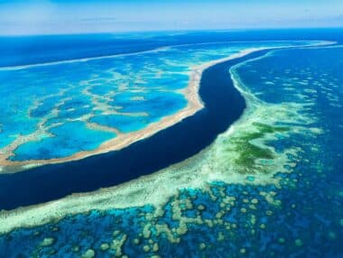 La Grande Barrière de Corail : une situation préoccupante