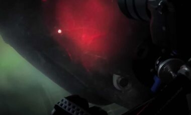 Les gens bouleversés par des images troublantes des profondeurs marines montrant une mystérieuse créature préhistorique