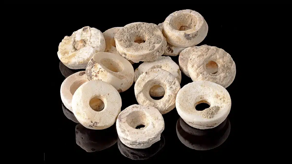 7xnuoBgMkV7KmCsyvpMJqe-1200-80.png Photo de David W. Wheatley