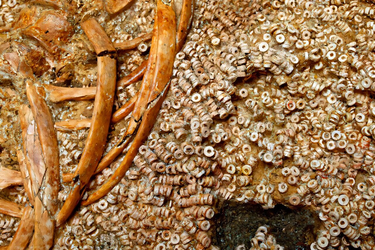 Découverte archéologique majeure en Espagne : le plus grand assemblage de perles préhistoriques