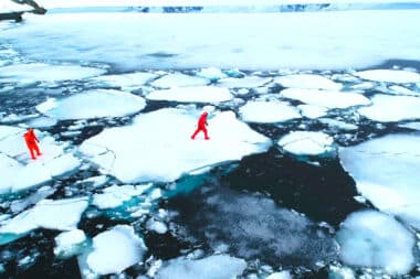 La Last Ice Area va-t-elle disparaître ? Une alerte pour l'Arctique