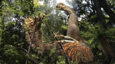 Une nouvelle espèce de dinosaure découverte dans le désert de Gobi