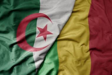 drone, Algérie, Mali, défense, tension, défense aérienne, incidents