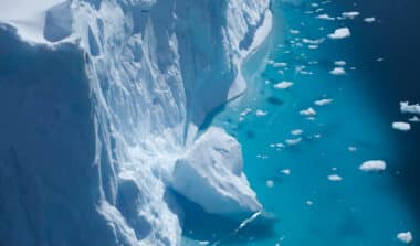 Antarctique : l'incroyable écosystème révélé par l'iceberg A-84