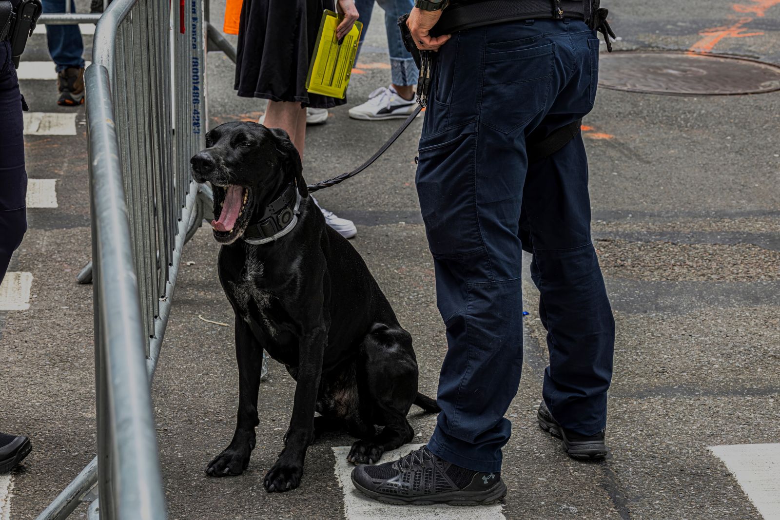 Attentat D jou Saint tienne Un Jeune Masculiniste crou La attentat-d-jou-saint-tienne-un-jeune-masculiniste-crou-la