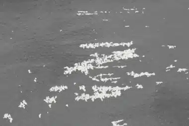 Des milliers de navires chinois repérés au large du Japon… et ce n’est pas pour pêcher