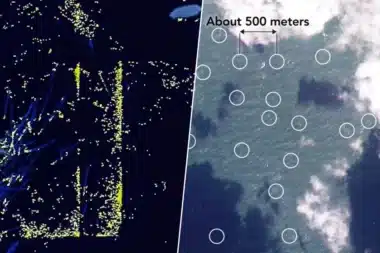 Images satellites accablantes : ces milliers de navires chinois qui défient le Japon