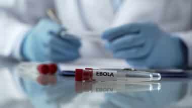 Ebola frappe la RDC : six Américains exposés au virus mortel