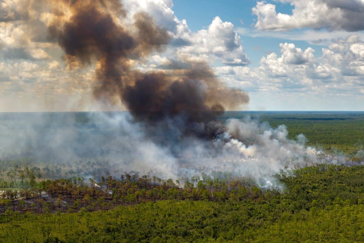 Incendies dans le sud : 900 pompiers et 6 aéronefs déployés face à des feux d'intensité inédite