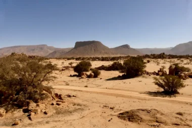 Ni prison classique ni bracelet électronique : l'Algérie choisit le désert brûlant pour enfermer ses trafiquants de drogue