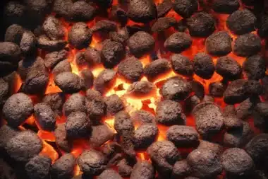 « On n'avait jamais vu ça » : en 2012, 400 km² de pierre volcanique ont flotté sur le Pacifique en transportant des dizaines d'espèces vivantes
