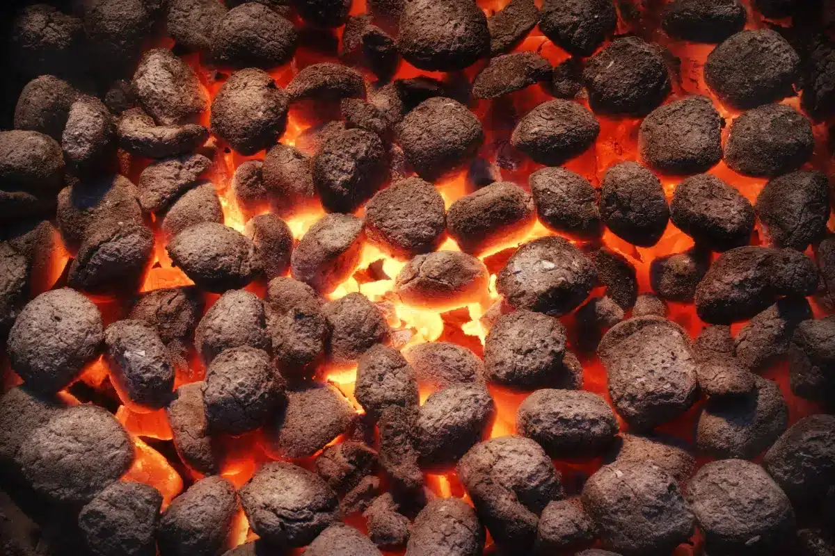 « On n'avait jamais vu ça » : en 2012, 400 km² de pierre volcanique ont flotté sur le Pacifique en transportant des dizaines d'espèces vivantes