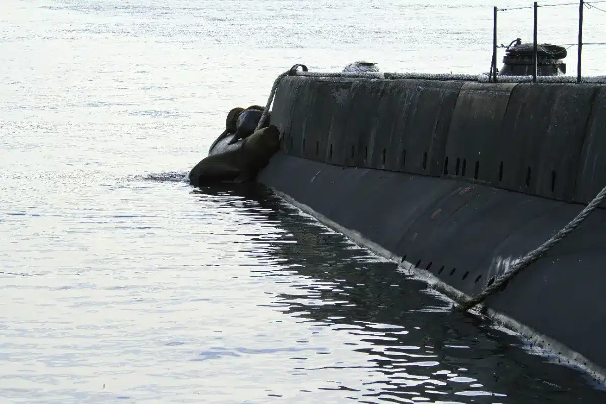 2 080 missiles Tomahawk partis du jour au lendemain, la Marine est aujourd'hui désespérée pour protéger ses sous-marins classe Ohio