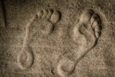 Des scientifiques ont découvert huit séries de traces vieilles de 1,4 million d'années et ne s'attendaient pas à identifier leurs auteurs