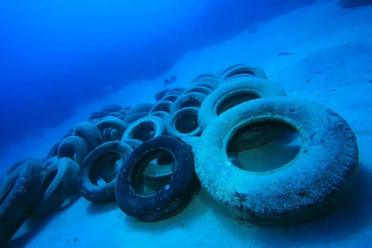« On pensait aider l'océan » : la Floride a jeté 2 millions de pneus en mer pour protéger les côtes, la nature leur renvoie la facture