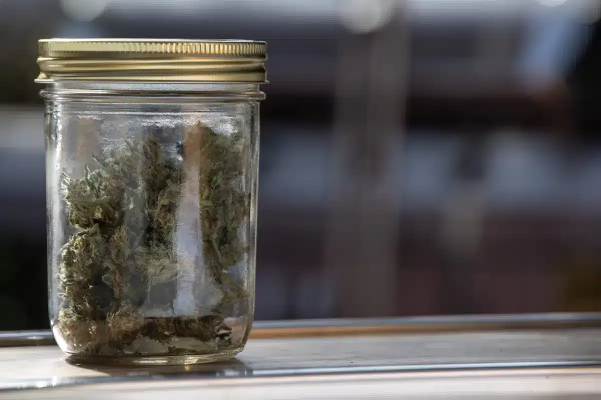 Un nombre croissant d'anciens policiers et militaires choisissent des emplois dans la livraison de cannabis